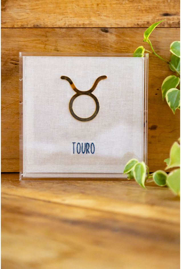 Quadro Acrilico Touro Mimo Galeria -1- Quadro Acrilico Touro Mimo Galeria -1-